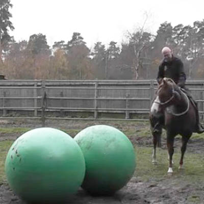 giant horse soccer ball durable ball for animal and pet